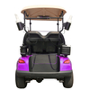 Voiturette de golf Style B 2 places violette 