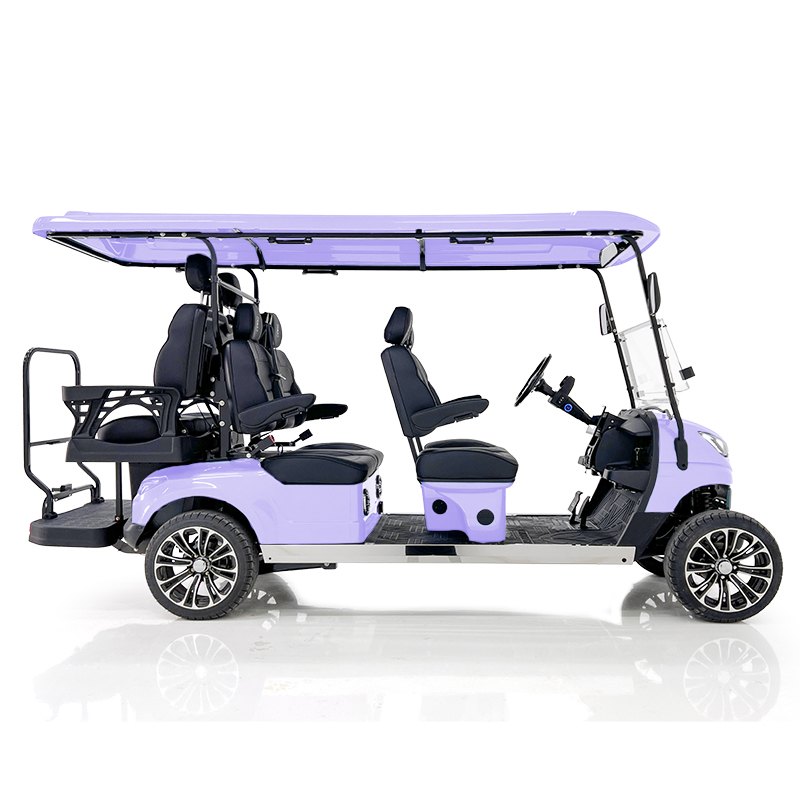 Voiturette de golf Aerfa 4+2 places taro violet