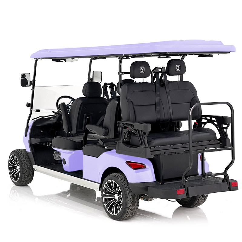 Voiturette de golf Aerfa 4+2 places taro violet