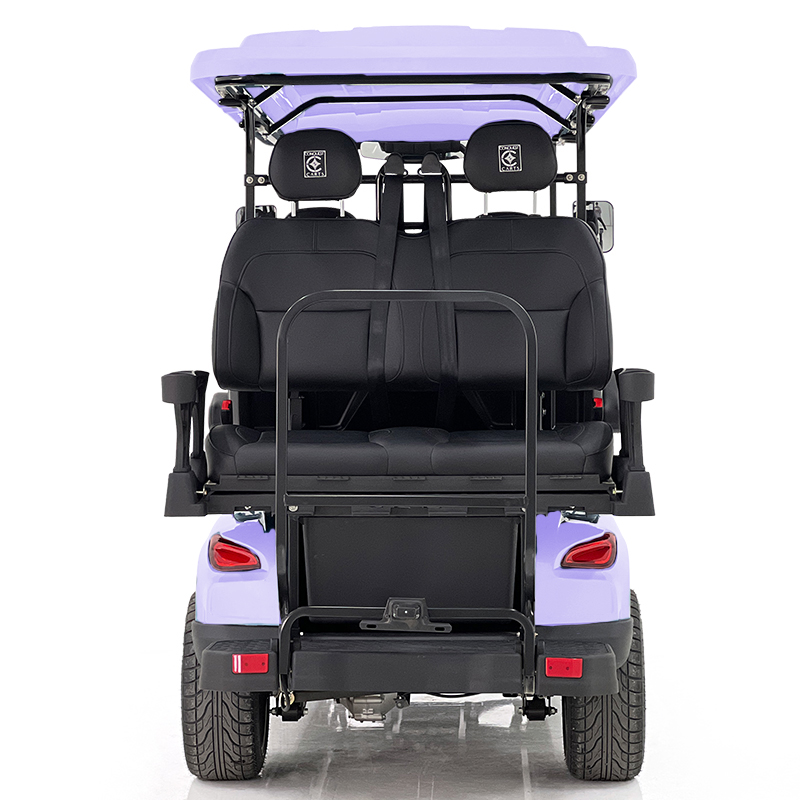 Voiturette de golf Aerfa 4+2 places taro violet