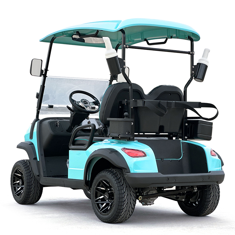 Voiturette de golf Style C 2 places vert menthe